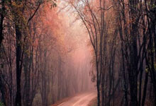 开云体育：国足第一黄油手确定！一己之力让球迷服气，或许另有所图.