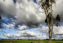 开云体育：[综合]翼装飞行 挑战极限.