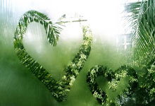 邮报：费迪南德或将离开TNT体育，未来可能转战美国市场.