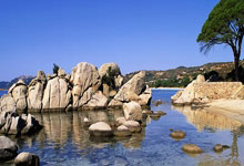 开云体育：第5金！宁忠岩破亚洲纪录夺得亚冬会速度滑冰男子1500米金牌央视体育.